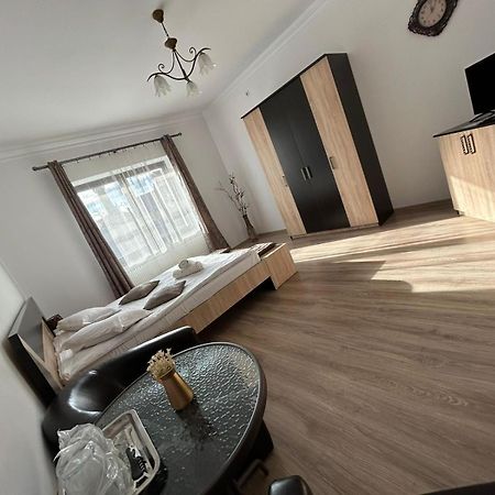 Vila Lion Sebes  Ngoại thất bức ảnh