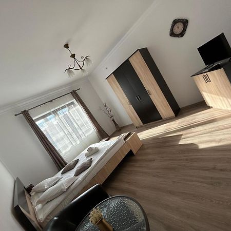 Vila Lion Sebes  Ngoại thất bức ảnh