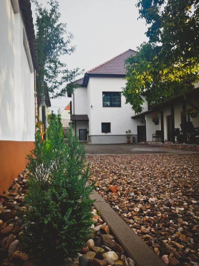 Vila Lion Sebes  Ngoại thất bức ảnh