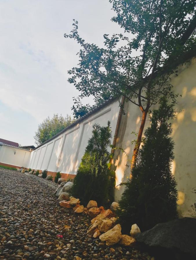 Vila Lion Sebes  Ngoại thất bức ảnh