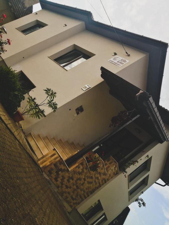 Vila Lion Sebes  Ngoại thất bức ảnh