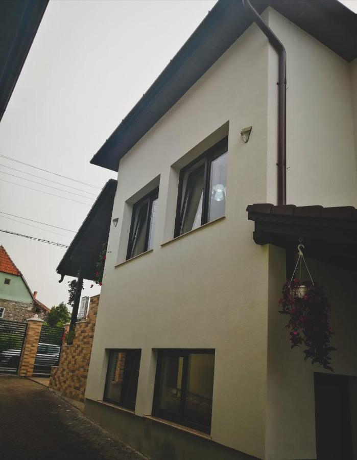 Vila Lion Sebes  Ngoại thất bức ảnh