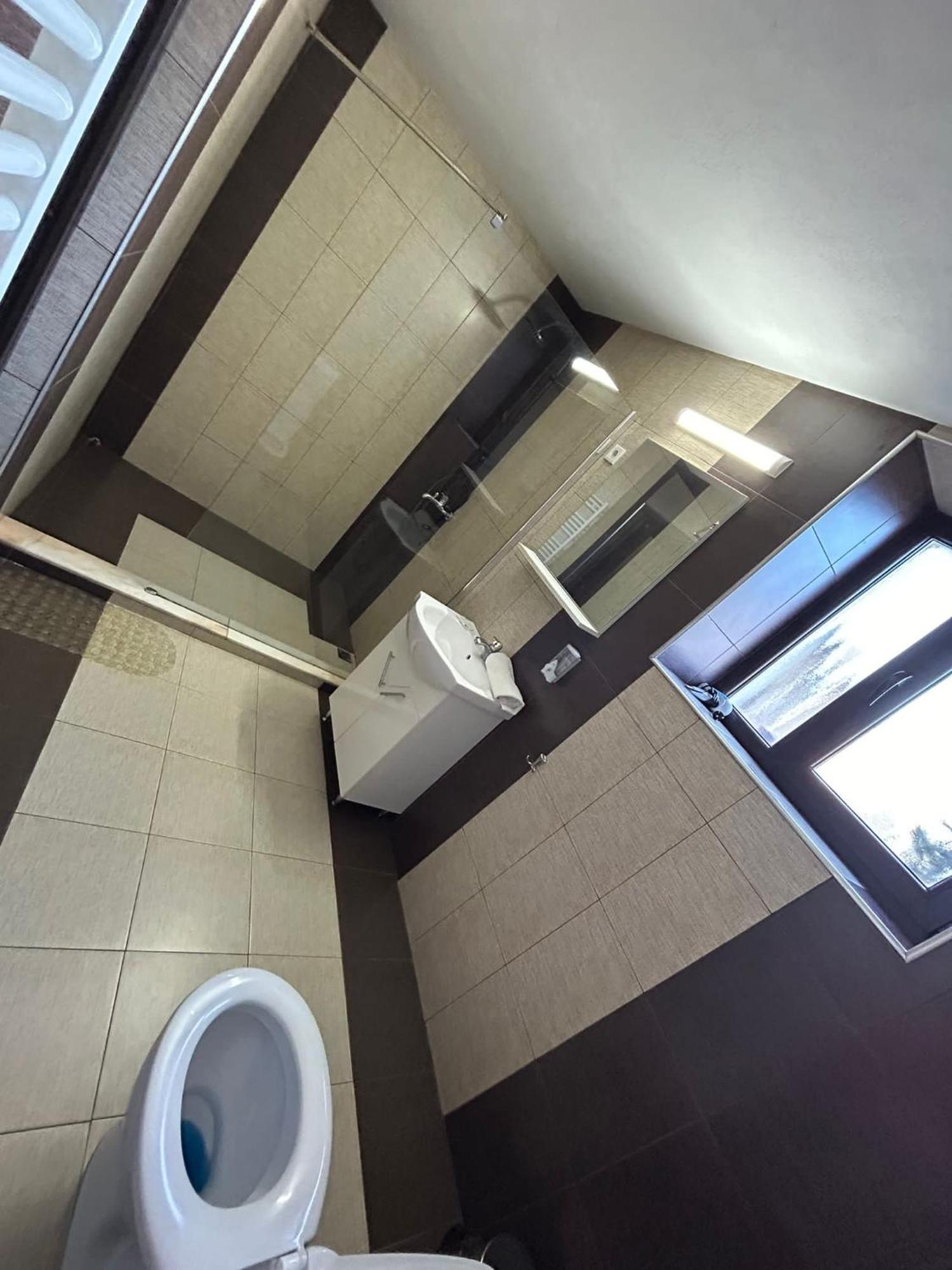 Vila Lion Sebes  Ngoại thất bức ảnh