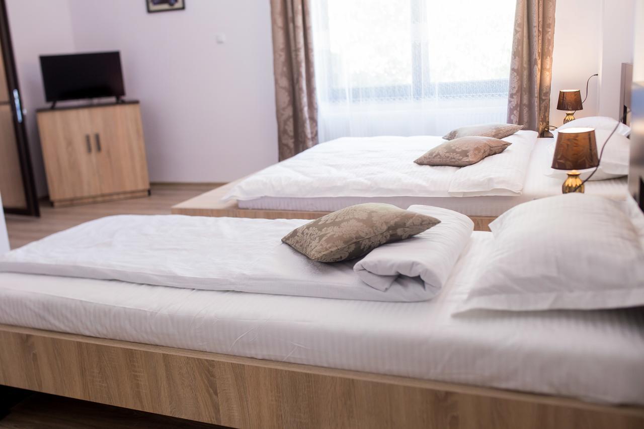 Vila Lion Sebes  Ngoại thất bức ảnh