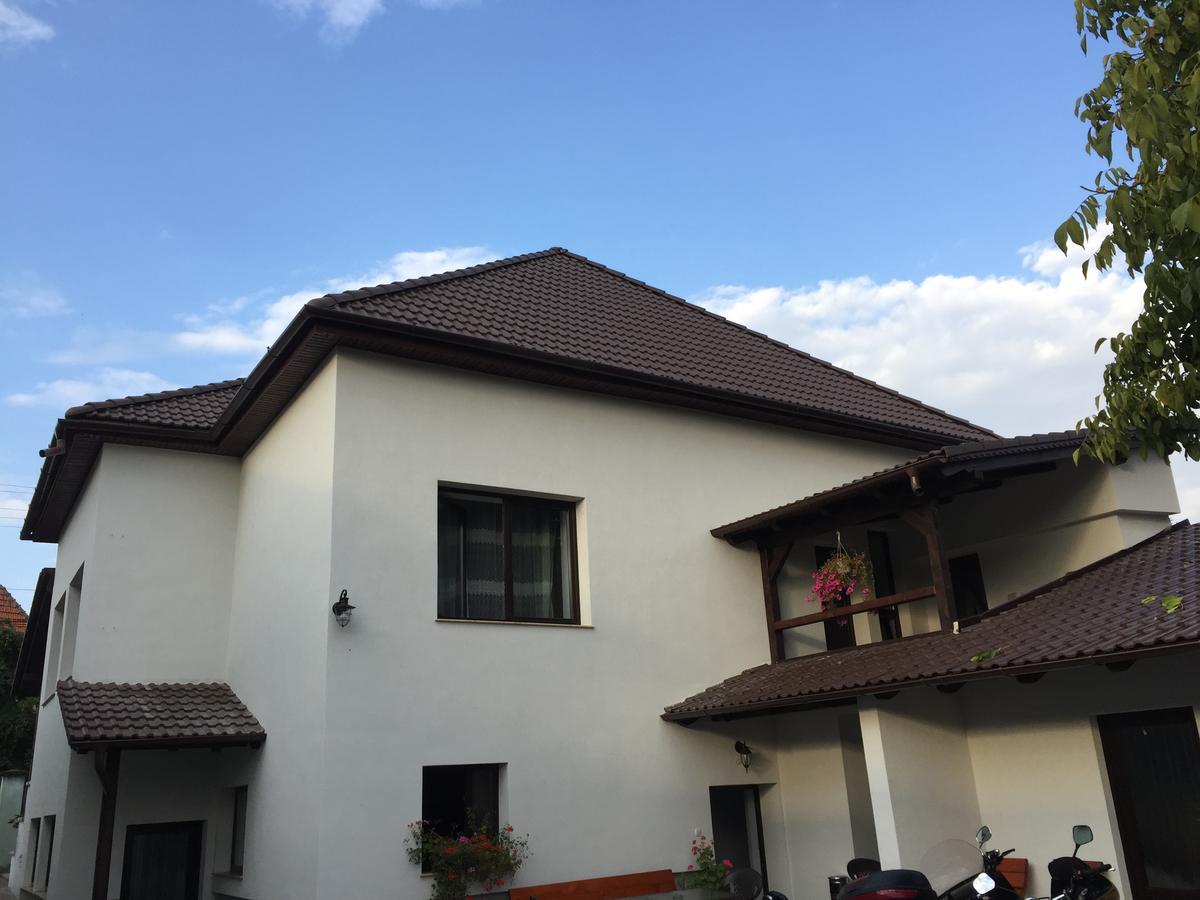 Vila Lion Sebes  Ngoại thất bức ảnh