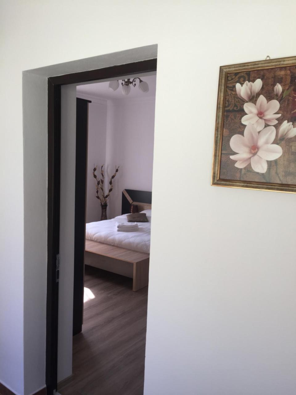 Vila Lion Sebes  Ngoại thất bức ảnh