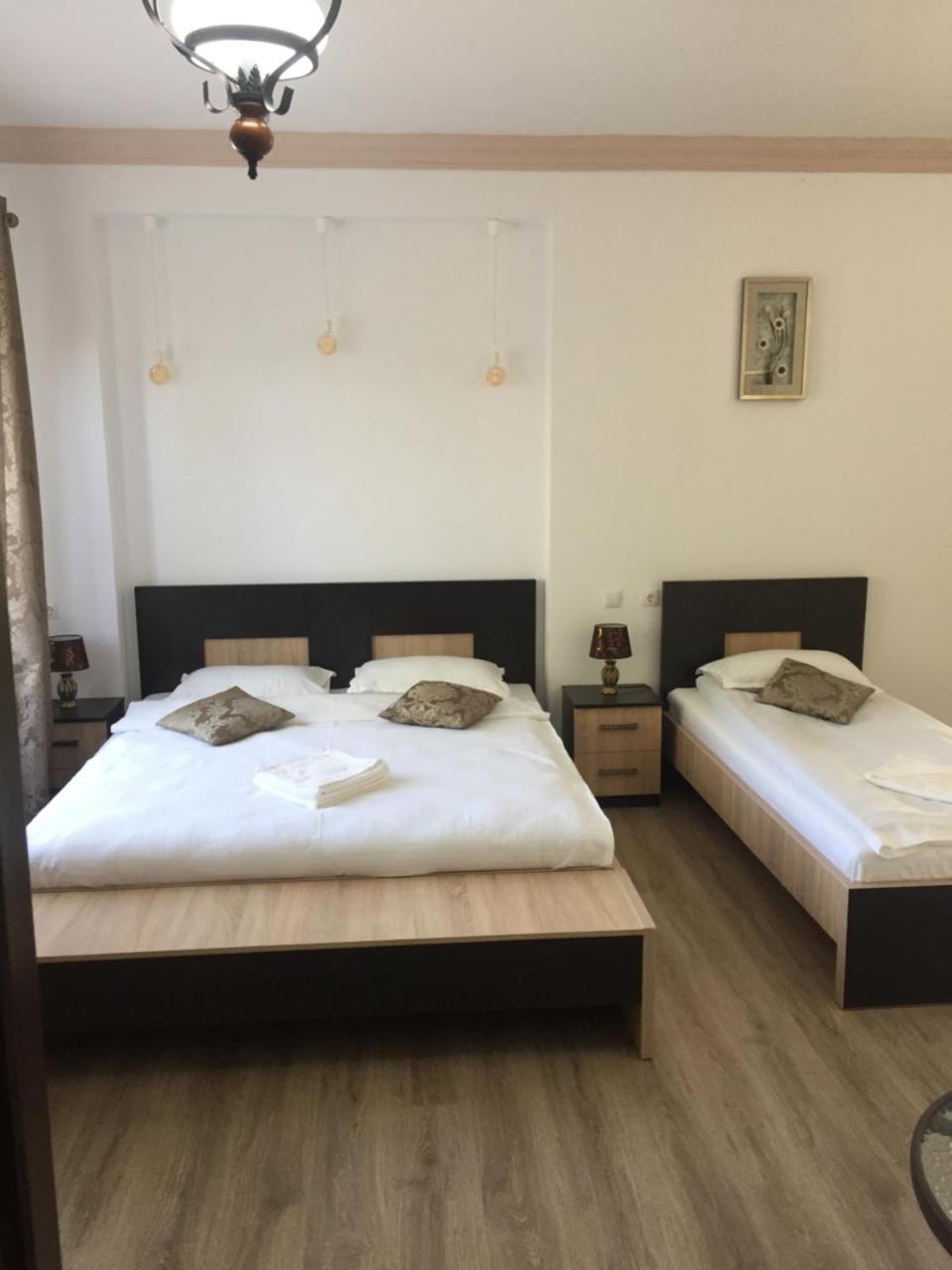 Vila Lion Sebes  Ngoại thất bức ảnh