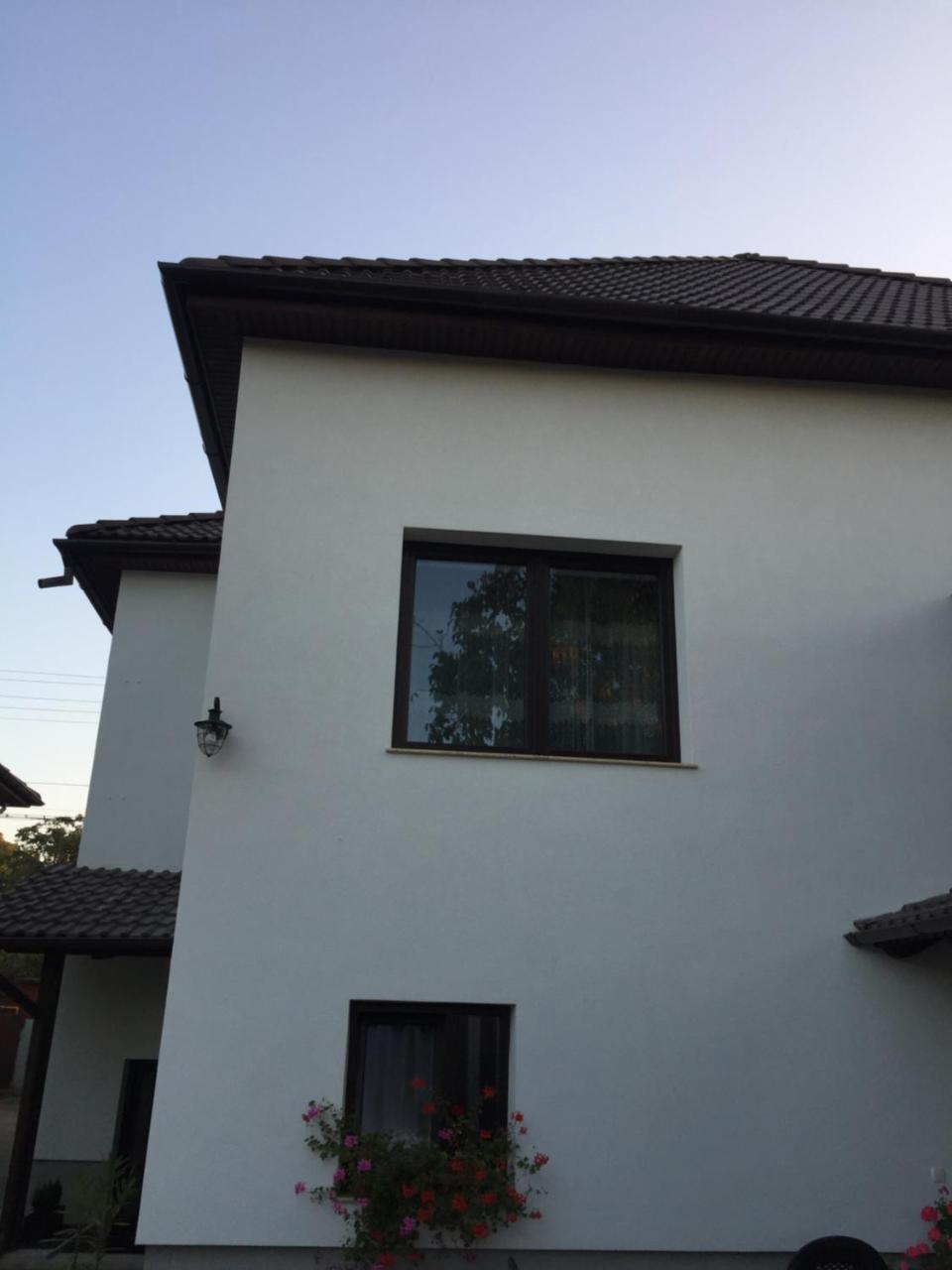 Vila Lion Sebes  Ngoại thất bức ảnh