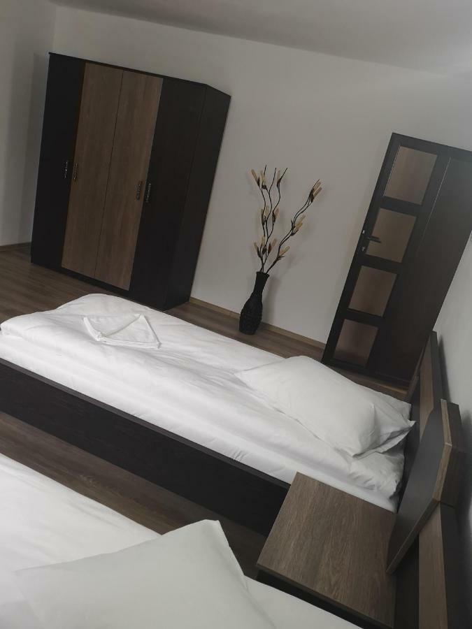 Vila Lion Sebes  Ngoại thất bức ảnh