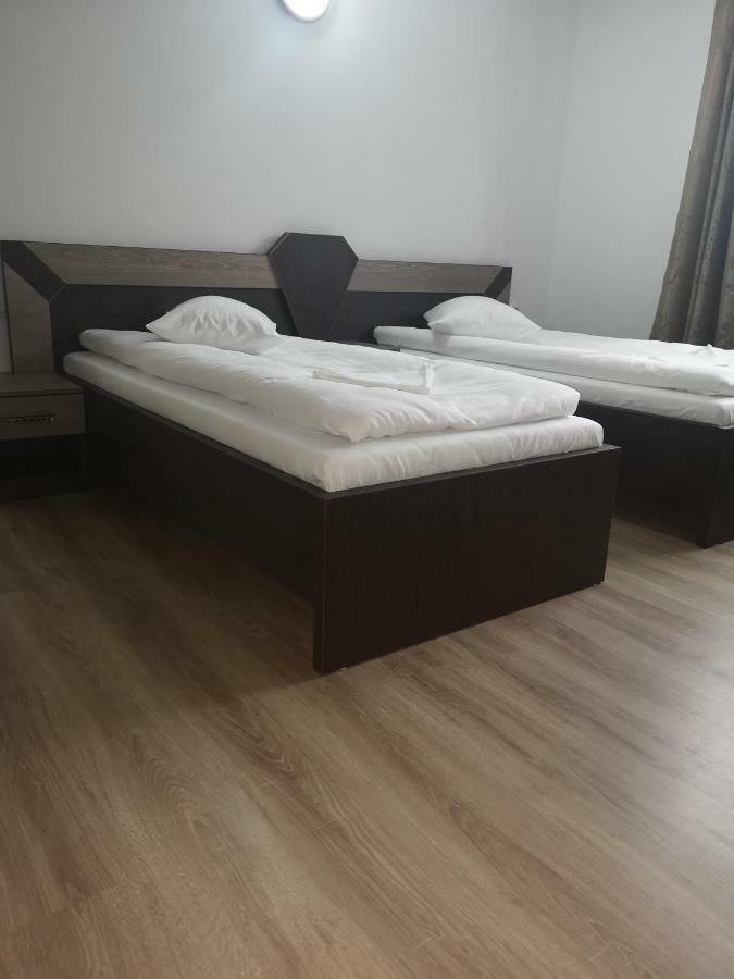 Vila Lion Sebes  Ngoại thất bức ảnh