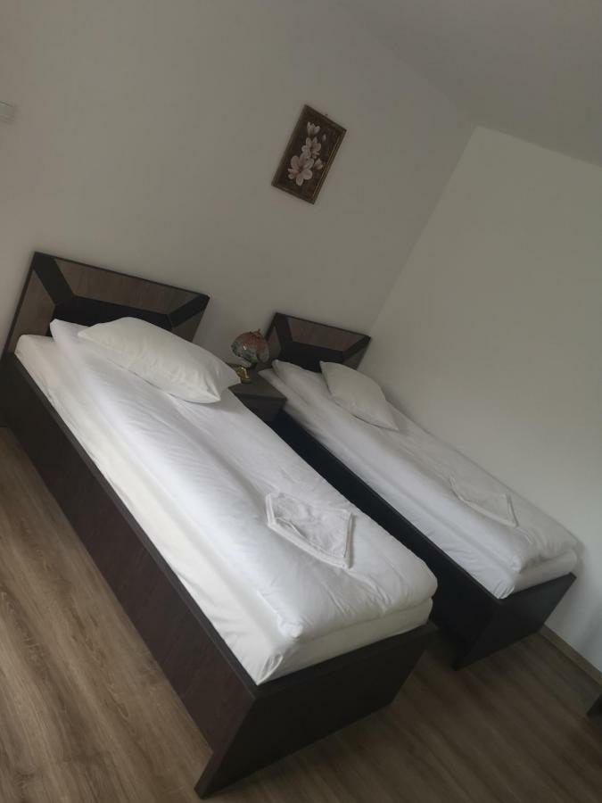 Vila Lion Sebes  Ngoại thất bức ảnh