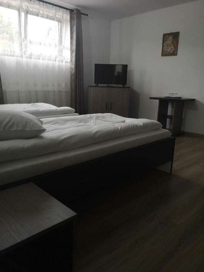 Vila Lion Sebes  Ngoại thất bức ảnh