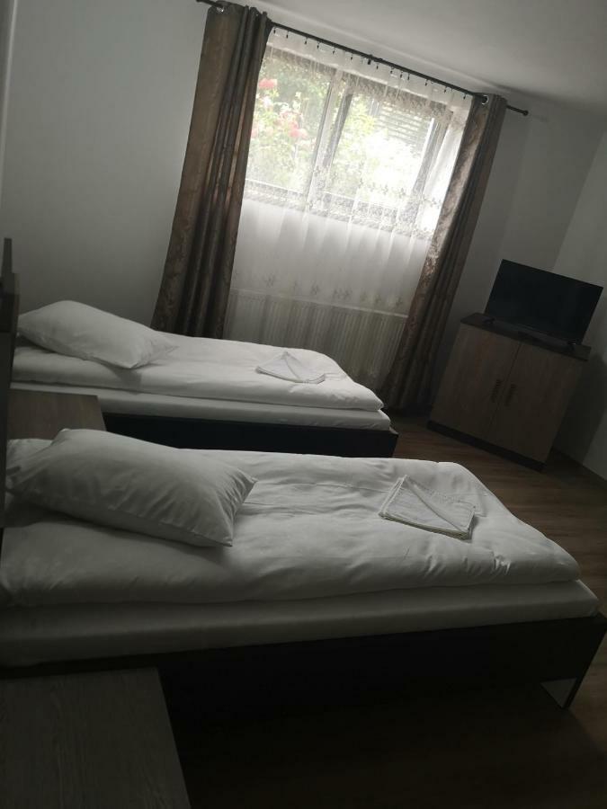 Vila Lion Sebes  Ngoại thất bức ảnh
