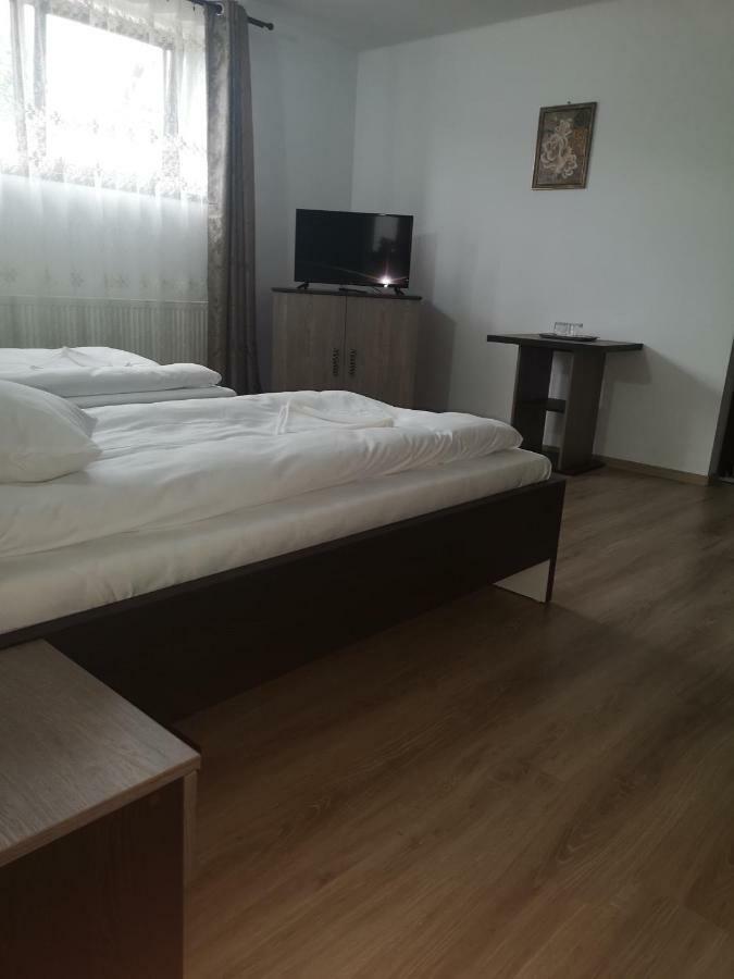 Vila Lion Sebes  Ngoại thất bức ảnh